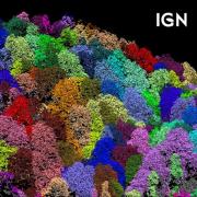 IGN_LIDAR